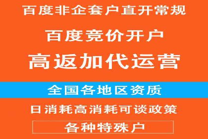某行业领先企业如何借助百度竞价推广托管取得成功